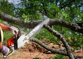 Bethany, MO Tree Care Company